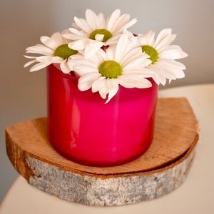 Meet your Posher, Somayya